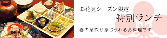 お花見限定ランチ（3/28～4/12まで）